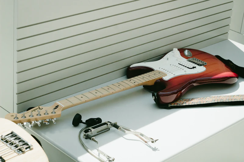 Padded Guitar Gig Bag 10mm