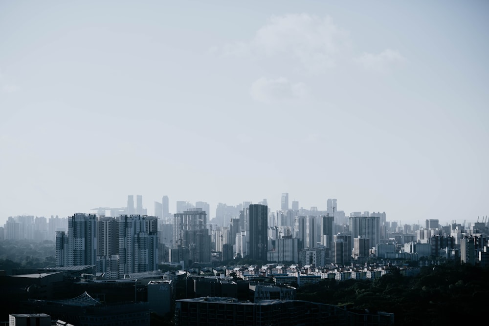 panoramic photo of cityscape