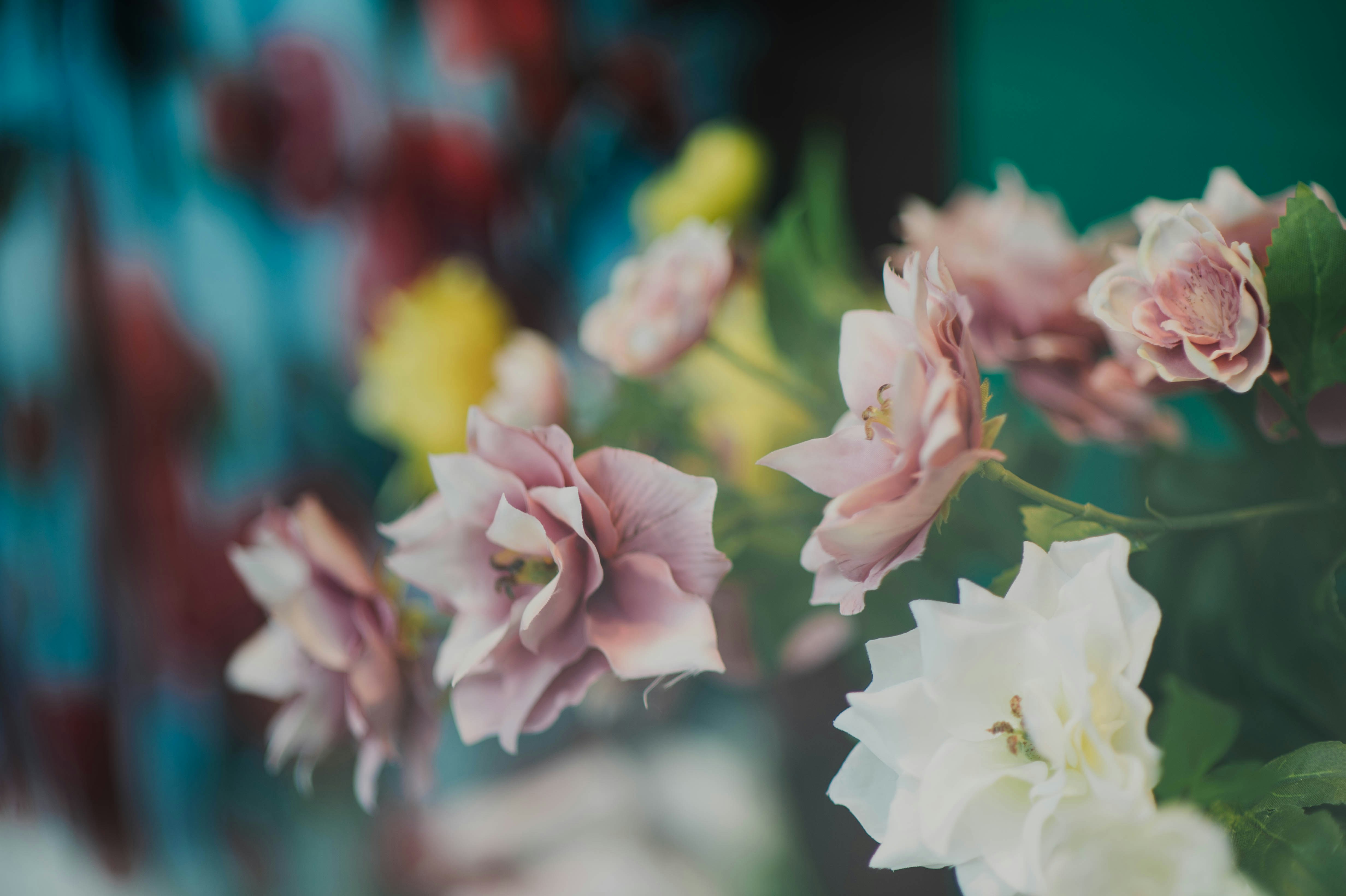 Photo by chuttersnap