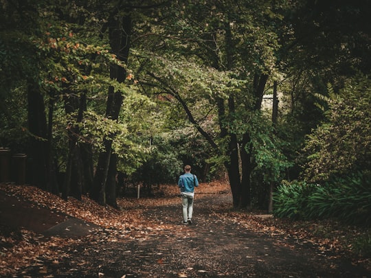 man wearing blue jacket walking in fores in Stirling Australia