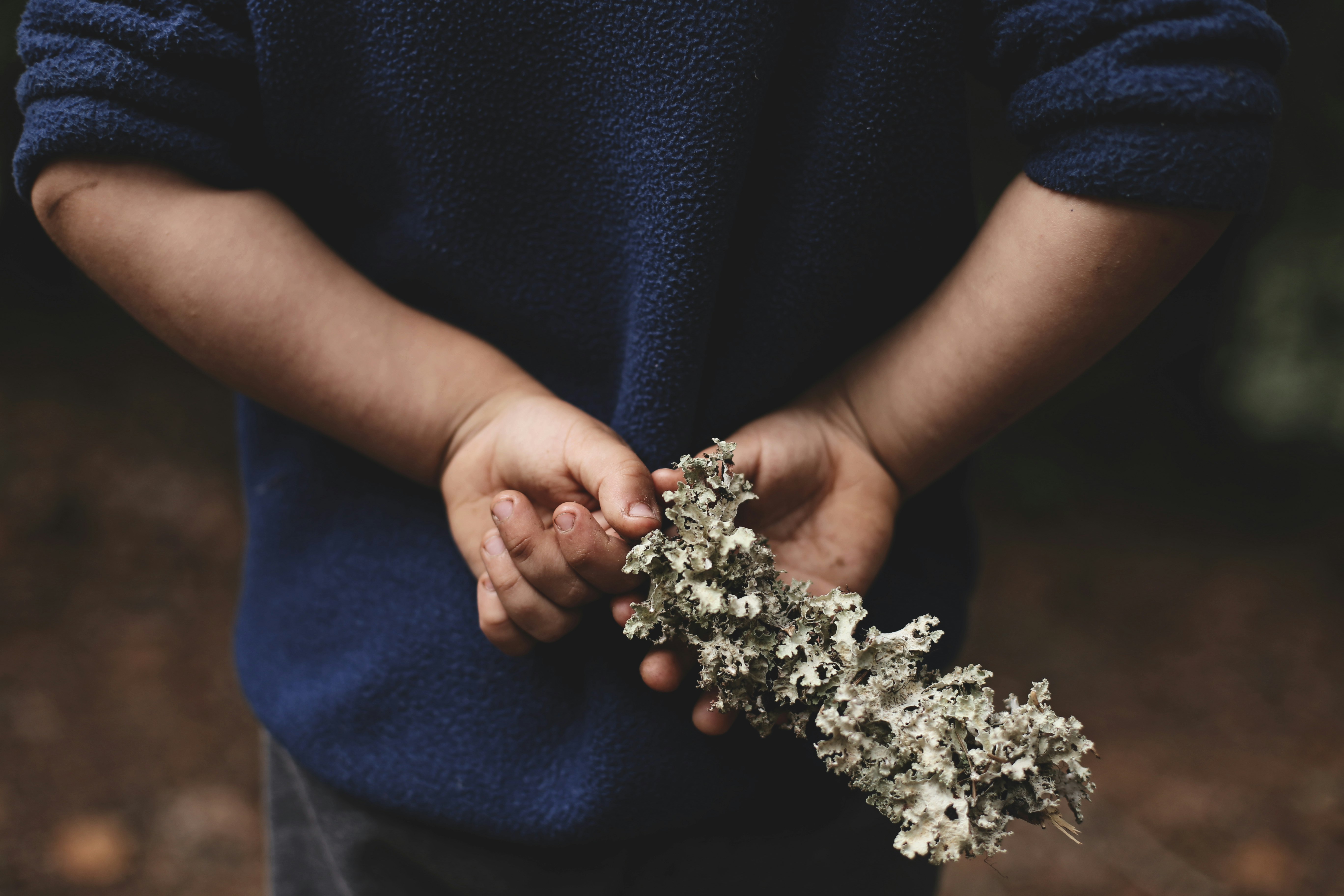 person holding white stone