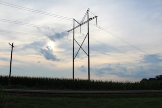 Towering electrical power lines stretch across a rural landscape with tall cornfields beneath a sky filled with soft, diffused clouds.