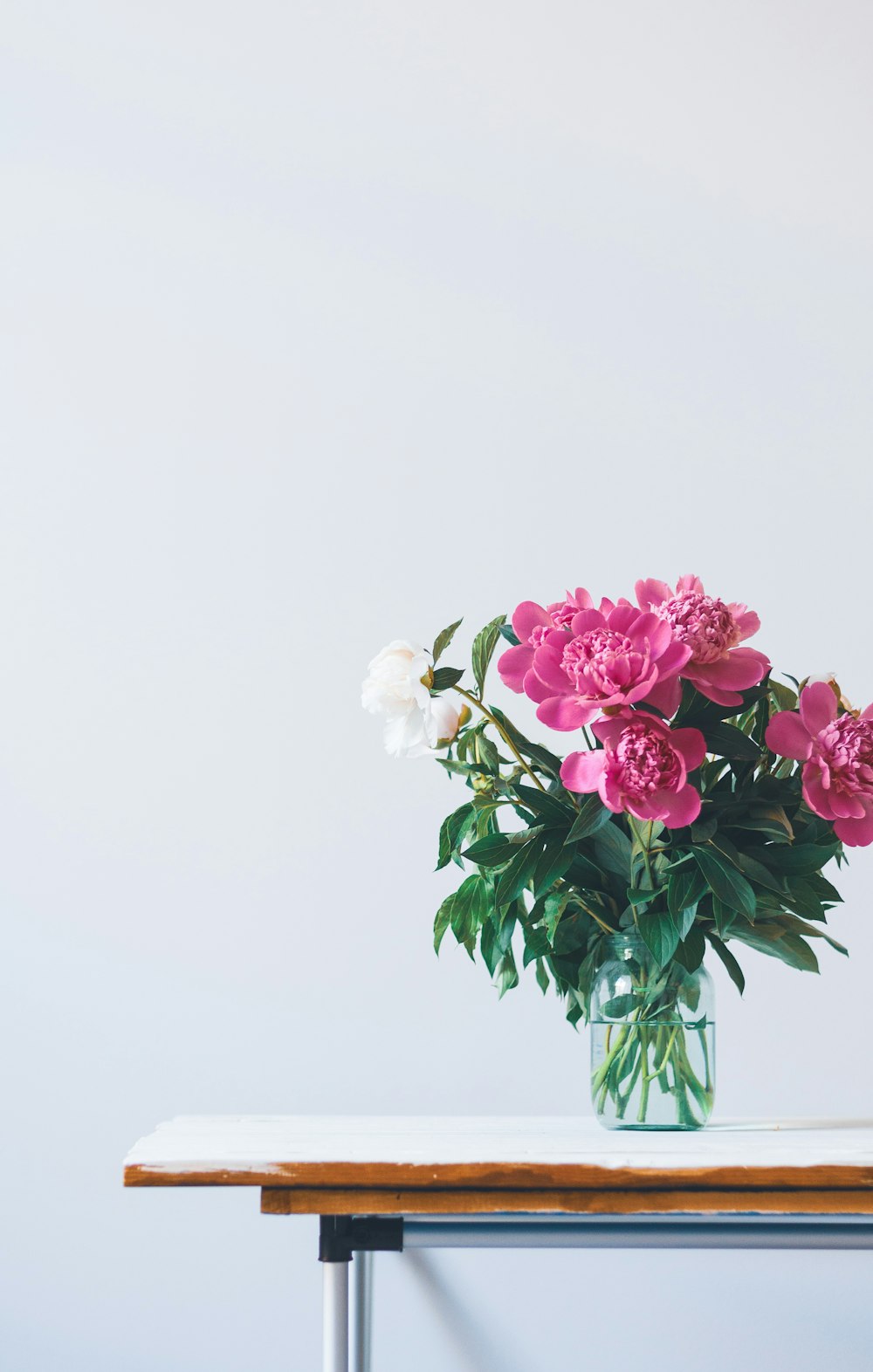 pink flowers in glass vase