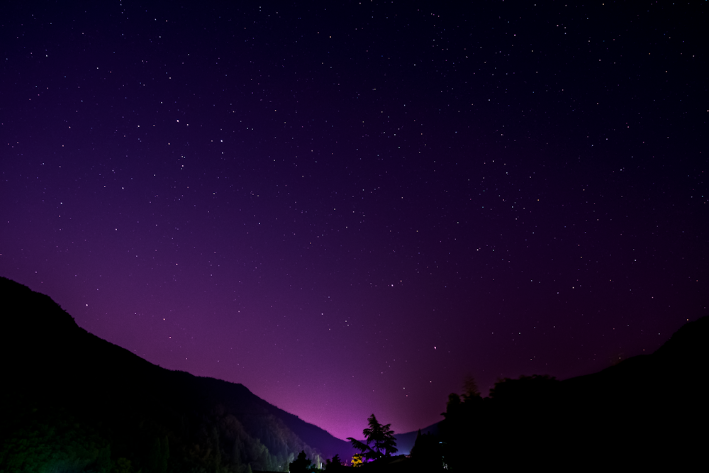 silhouette d’arbres et de montagne