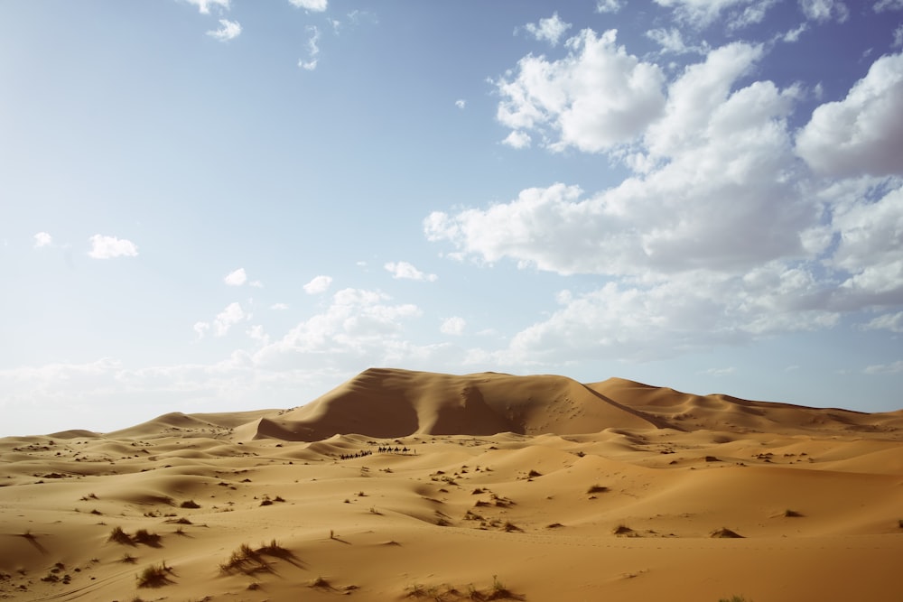 desert under blue sky