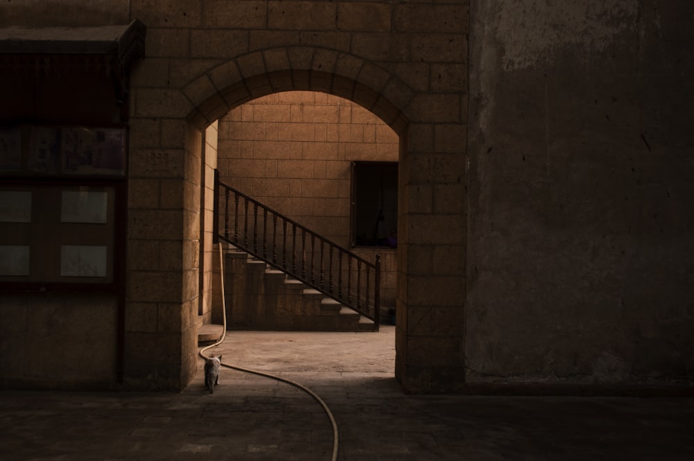 gray concrete hallway near gray concrete stairs