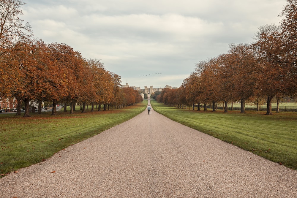 person walking towards trees