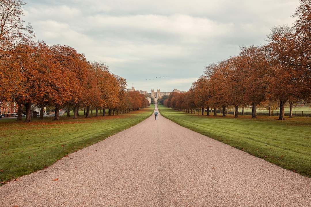 person walking towards trees