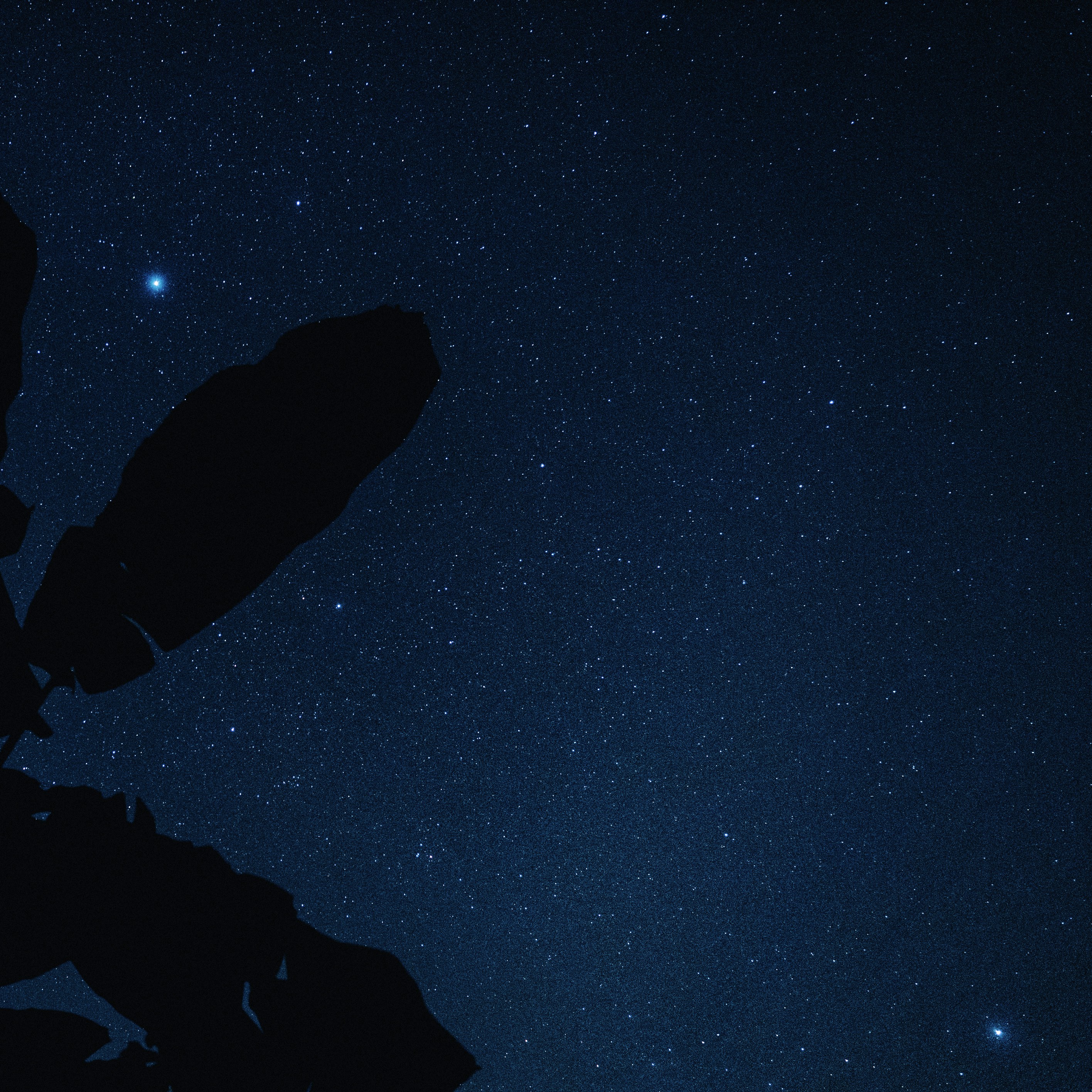 Carl Sagan Pictures Download Free Images On Unsplash