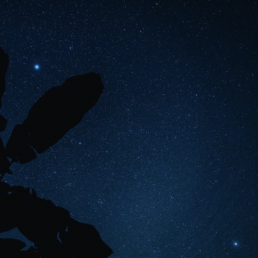 a satellite dish is silhouetted against the night sky