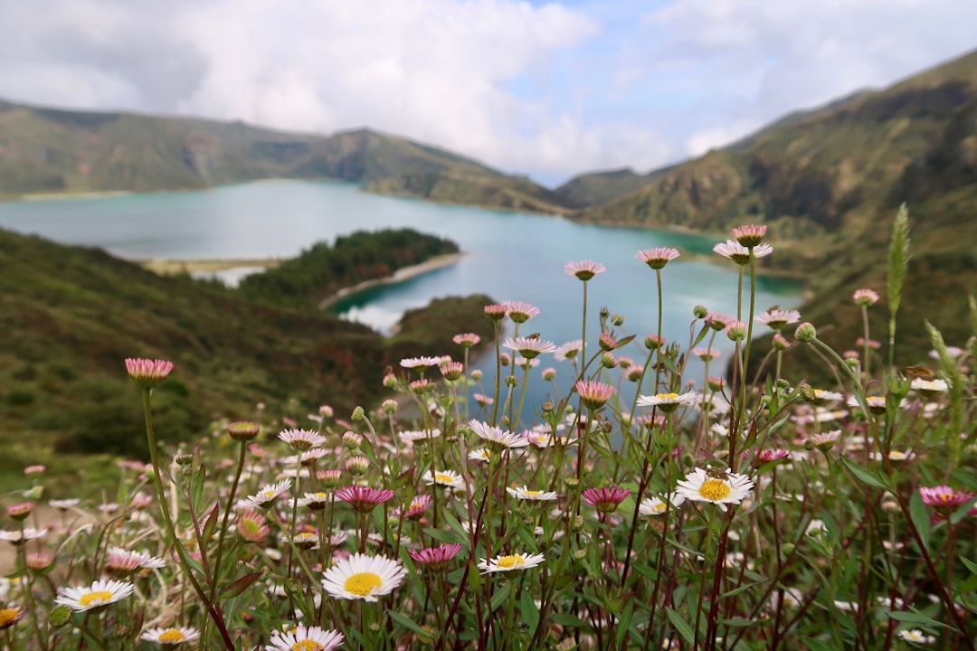 Nature reserve photo spot Azores Miradouro da Vista do Rei