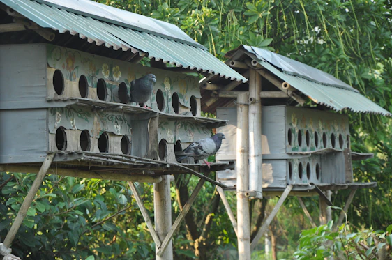 A close-up of a neatly installed green pigeon net on a balcony with bamboo chicks visible in the background.