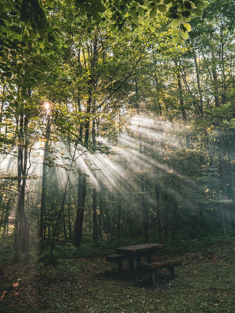 fotografía de primer plano de la mesa de picnic de madera negra