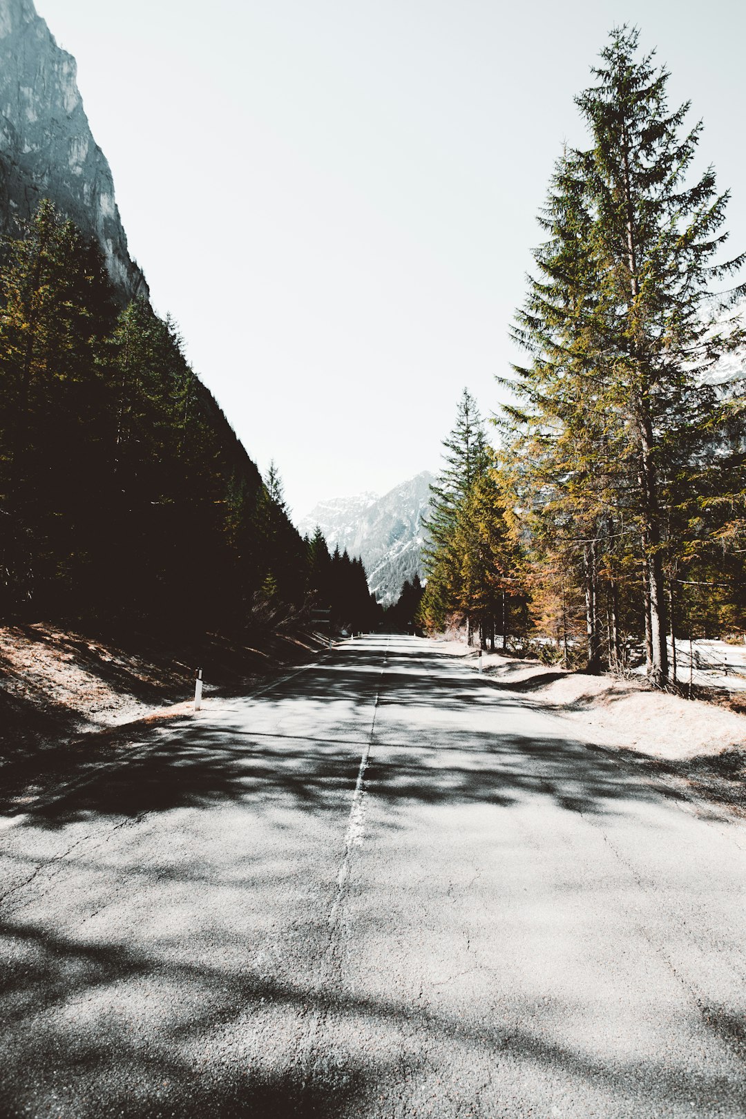 Mountain photo spot Province of Bolzano - South Tyrol Rolle Pass