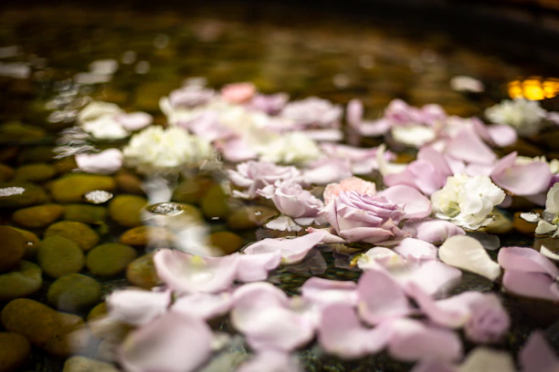Close-up of calming rose petals scattered on a massage table at Rosazen spa.