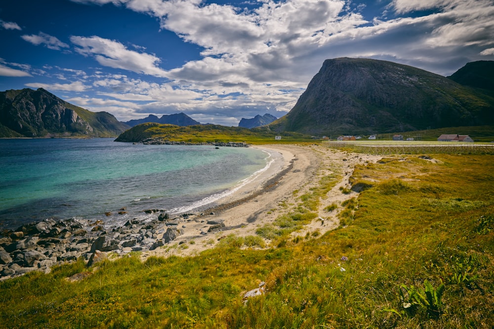 seashore beside grass field during cloudy day