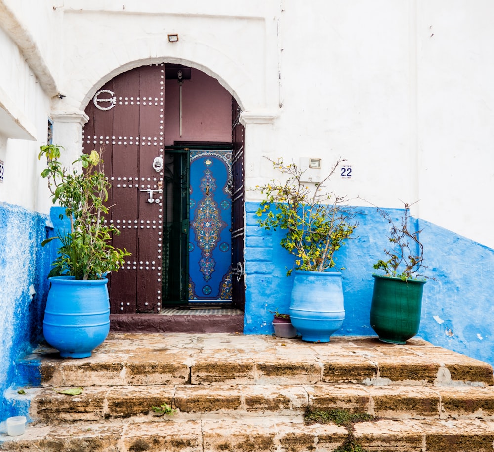 Tres plantas en maceta cerca de Open Door