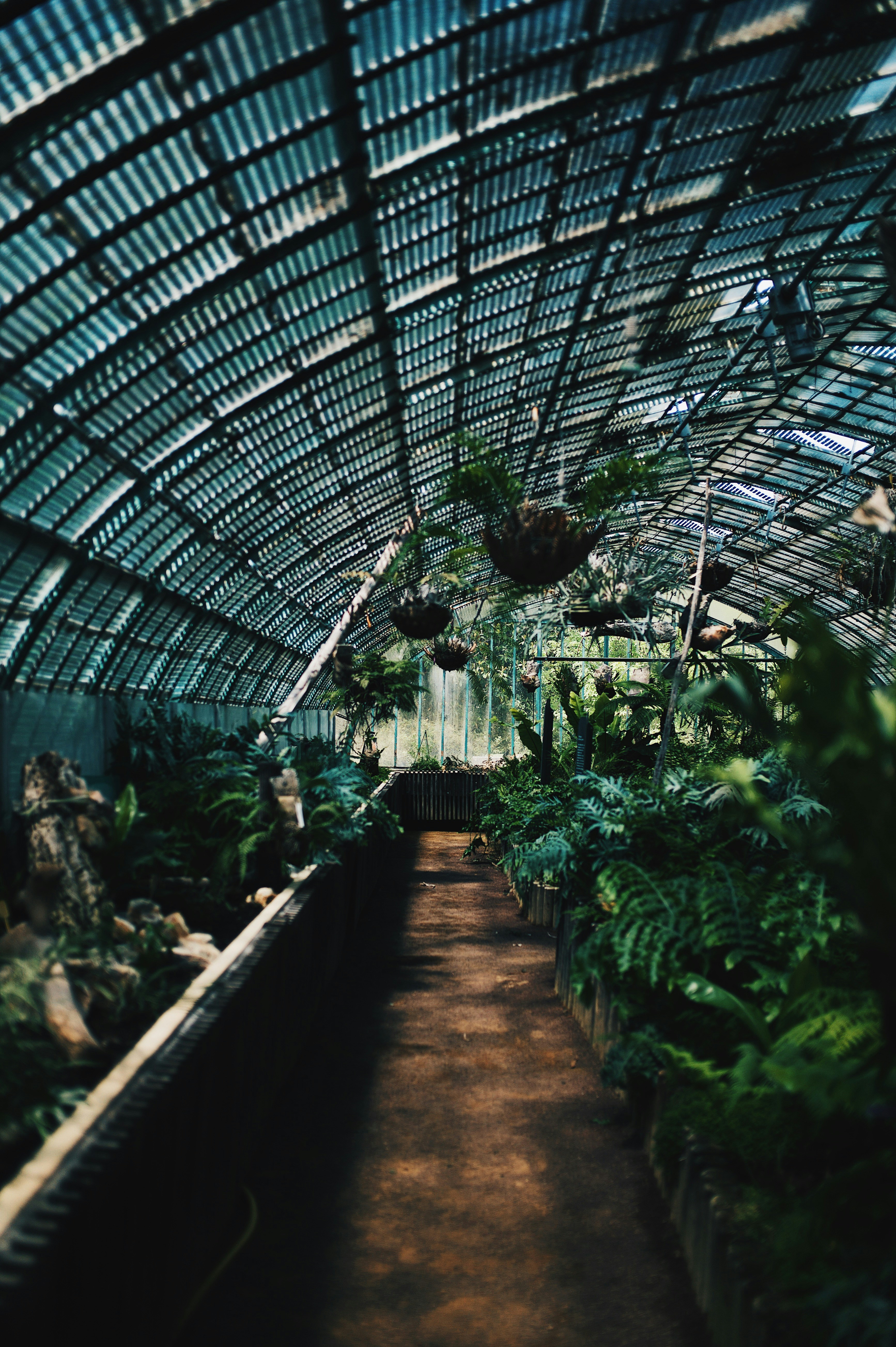 Photo by julesmarchioni67