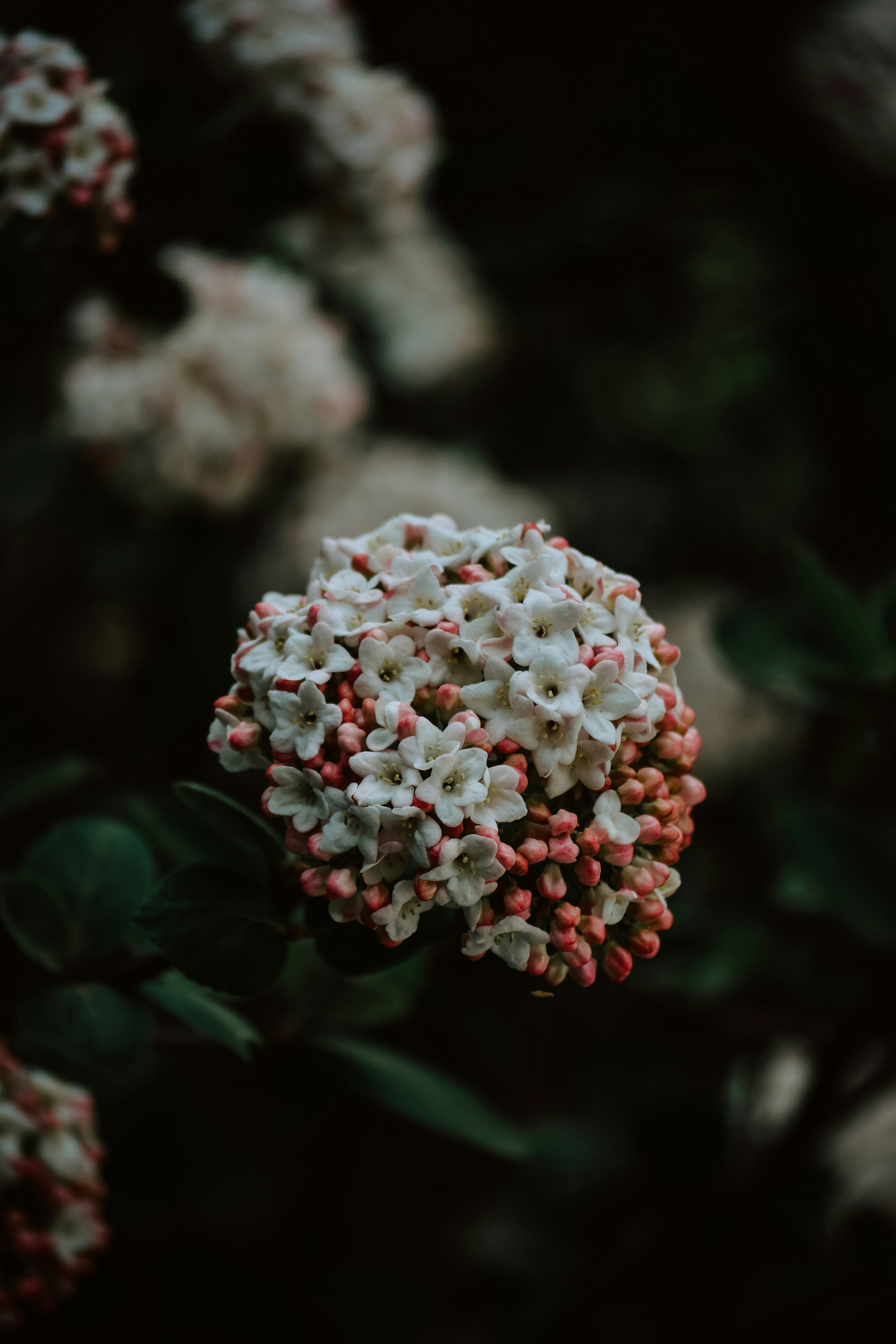 Photo by jacalynbeales