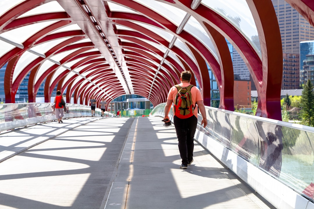 photo of Eau Claire Park Bridge near Centre Street Bridge