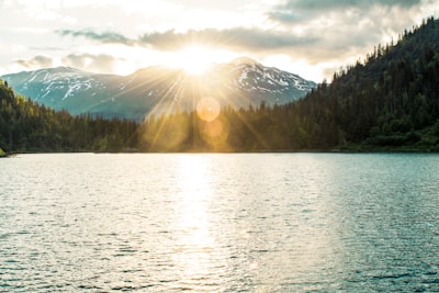 body of water near trees at daytime bright google meet background