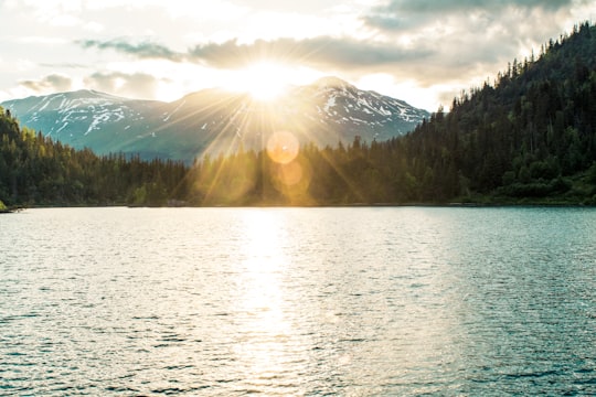 body of water near trees at daytime in Seward United States