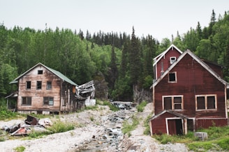 Two dilapidated wooden houses stand surrounded by lush green forest. The brown and red buildings show signs of decay with broken windows and collapsing structures. A narrow stream runs between the buildings over a bed of rocks, cutting through the dense vegetation.
