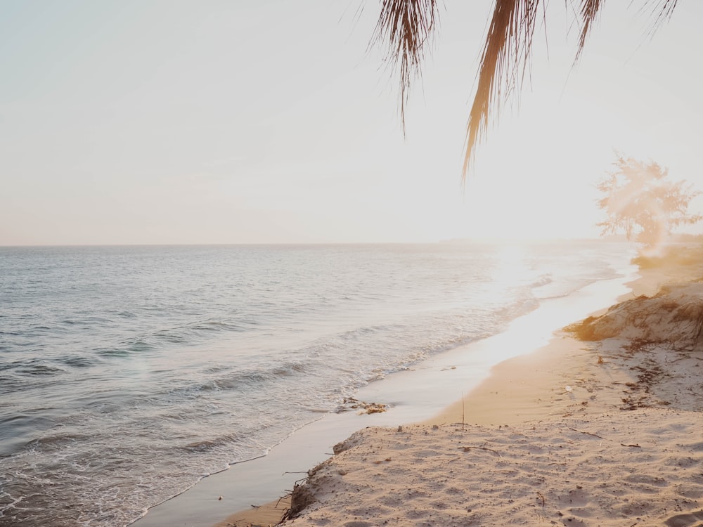 seashore during sunrise