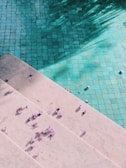 A tiled swimming pool with a light greenish-blue hue is partially covered by shadows of nearby trees. A set of white stone steps descends into the pool, scattered with small purple flowers, adding a delicate touch to the scene.