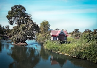 A wooden house with a red roof stands on the edge of a river, surrounded by lush greenery and trees. The water reflects the vibrant colors of the sky and landscape, creating a serene and picturesque setting.