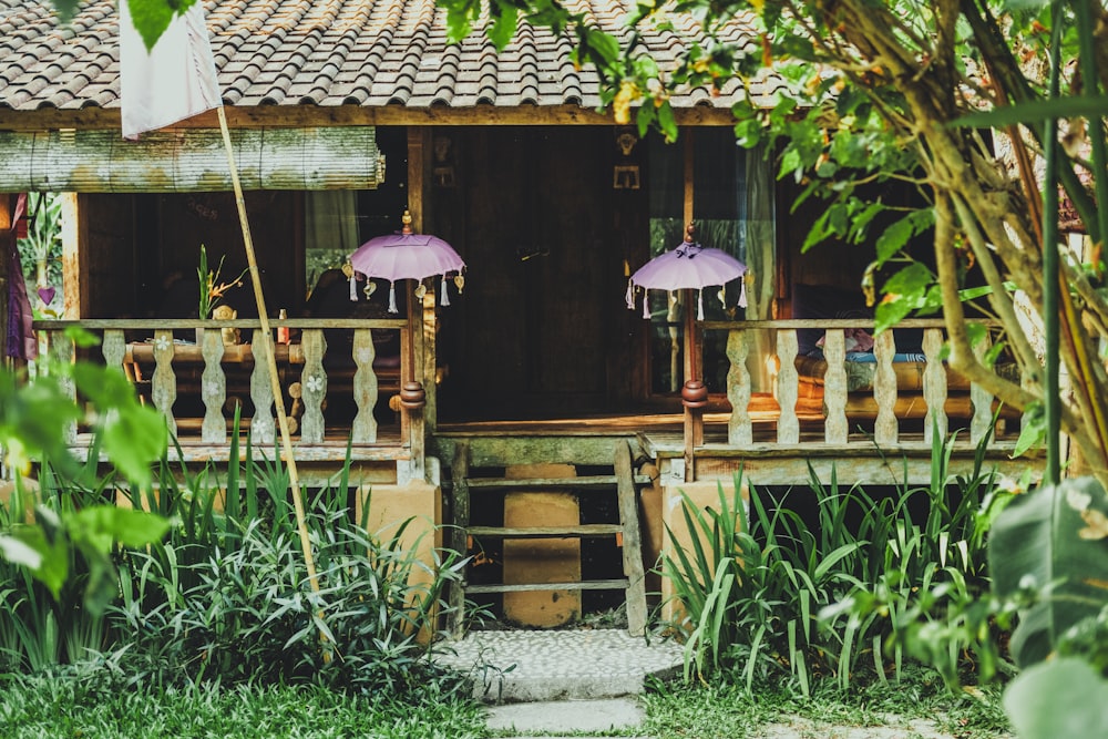 wooden house surrounded by trees and plants