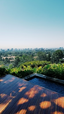 Balcony view overlooking a serene garden and city skyline in Kuwait.