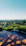 A serene view of the sky gardens at sunset, highlighting the lush greenery and modern architecture.