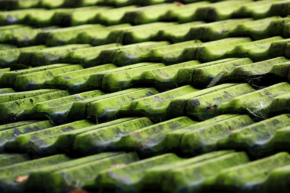 Foto de primer plano de tejas de techo verde