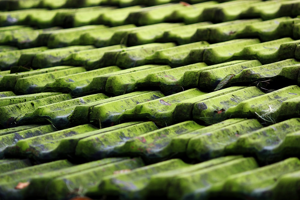 closeup photo of green roof shingles