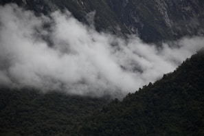 Thick, white clouds drift across a lush, forested mountain landscape. The dense greenery of the trees contrasts with the rugged, rocky texture of the mountains in the background.