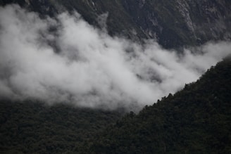 Thick, white clouds drift across a lush, forested mountain landscape. The dense greenery of the trees contrasts with the rugged, rocky texture of the mountains in the background.