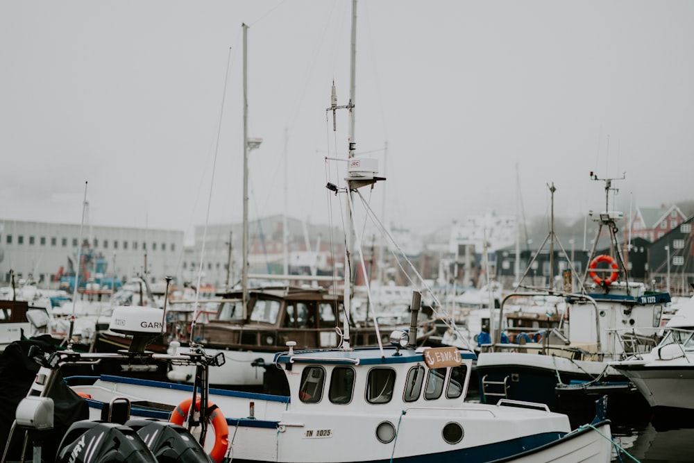 boat lot on the dock under cloudy sky