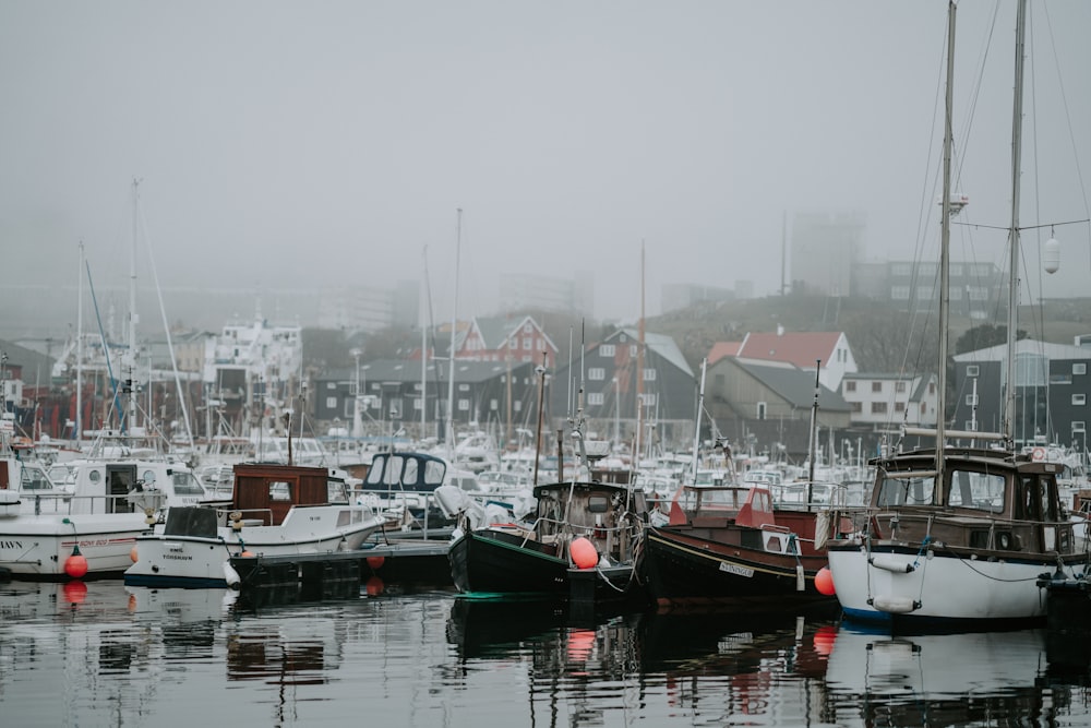 white boat on body of water during daytime