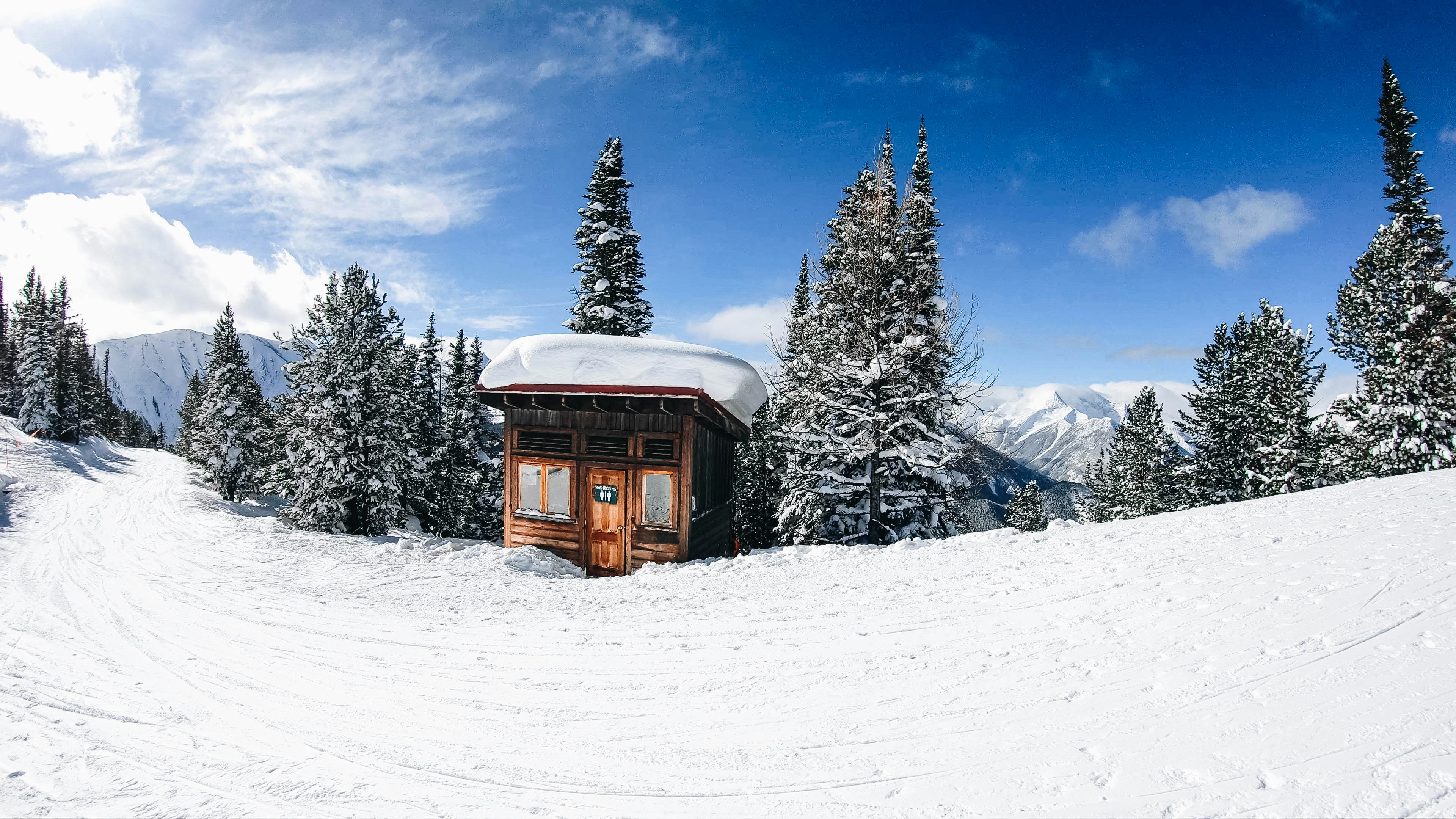 https://images.unsplash.com/photo-1526991699183-67276c336420?ixid=M3w2MjYzNjJ8MHwxfHNlYXJjaHw2fHxTaGFrZSUyMFNoYWNrfGVufDB8MHx8fDE3MjE4Mzg2ODV8MA&ixlib=rb-4.0.3