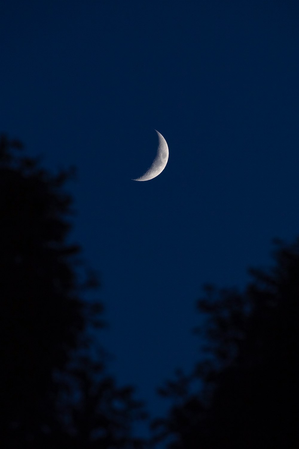 foto da lua crescente durante a noite