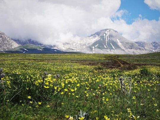 Campo Imperatore things to do in Calascio