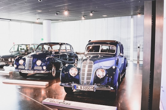 A collection of vintage cars is displayed in a sleek, modern showroom with large windows allowing natural light to illuminate the space. Two classic cars with polished, deep blue exteriors and chrome details are prominently featured, parked on elevated platforms.