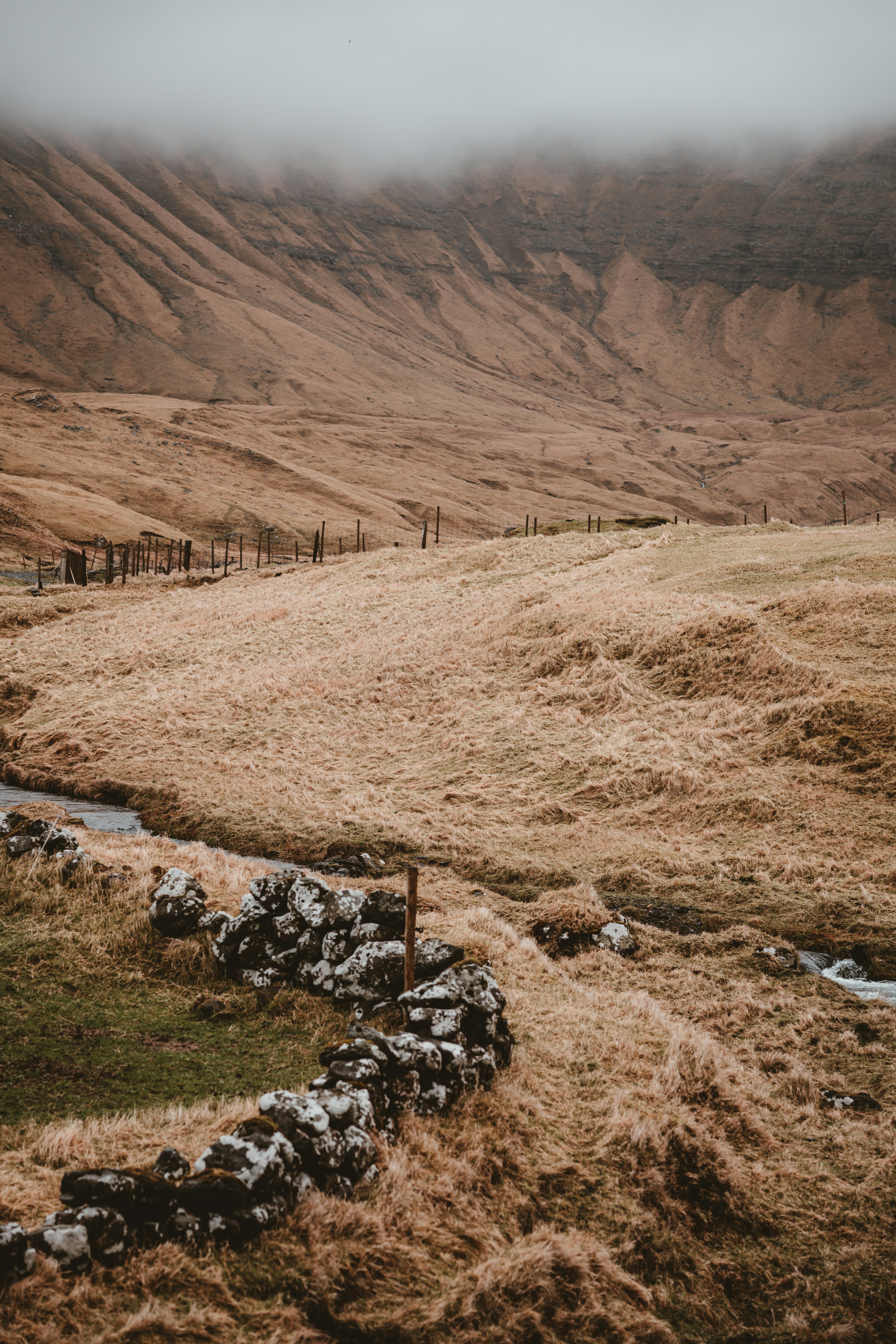 Photo by anniespratt