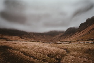 green field during day time