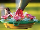 A hummingbird is perched on a colorful feeder, sipping nectar from its spout. The feeder features multiple pink flowers around a central vessel and contrasts against a blurred green and yellow background.
