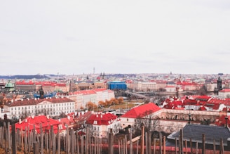 Modern European city skyline with digital overlays representing secure communication networks.