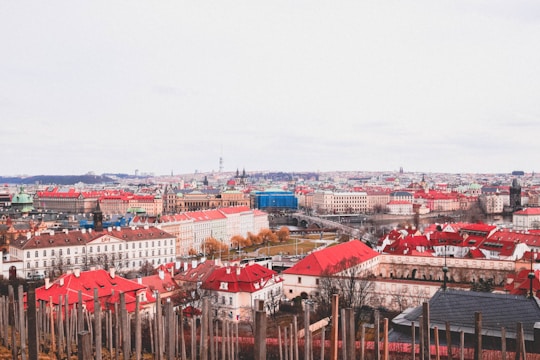 Modern European city skyline with digital overlays representing secure communication networks.
