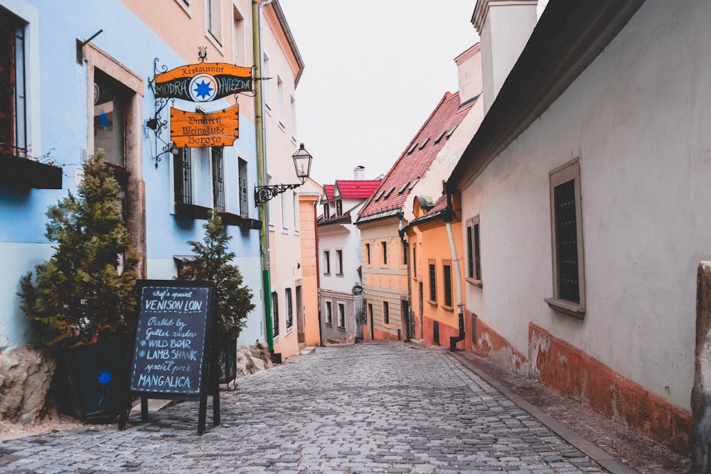 narrow pathway near houses