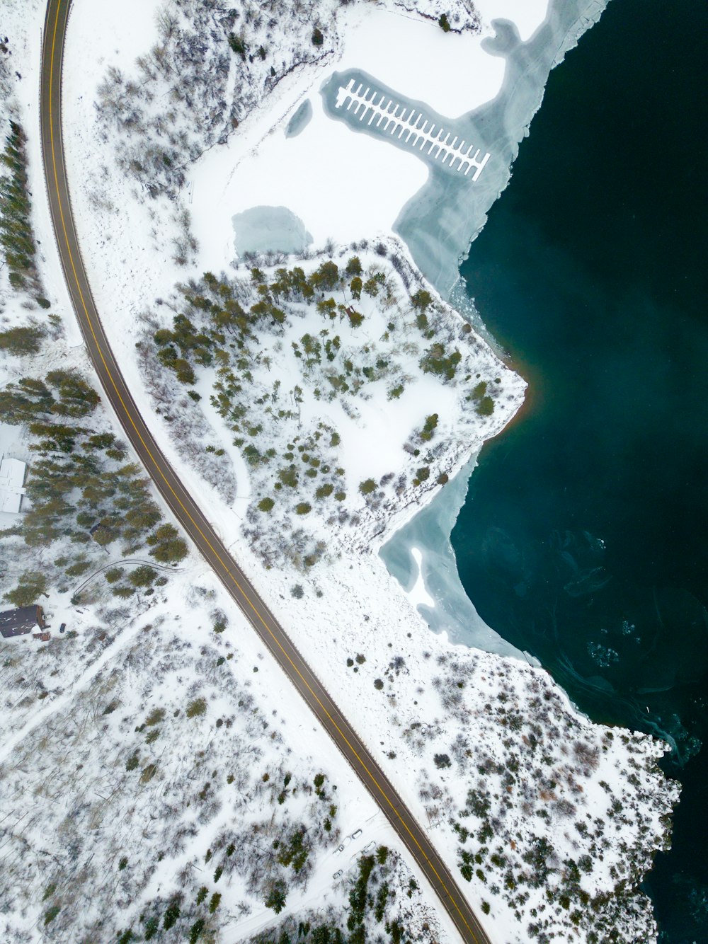 aerial photograph of forest